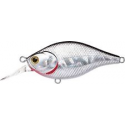 WOBTY 61 BLUE GILL