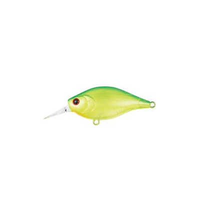 WOBTY 61 BLUE GILL
