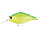 WOBTY 61 BLUE GILL