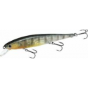 Flash Pointer 115 FLAKE FLAKE GOLDEN SUNFISH
