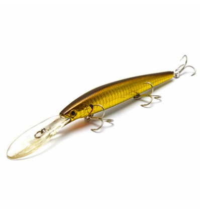 SW Staysee 120SP - SALTY ZEBRA AURORA GOLD