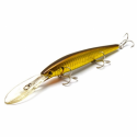 SW Staysee 120SP - SALTY ZEBRA AURORA GOLD