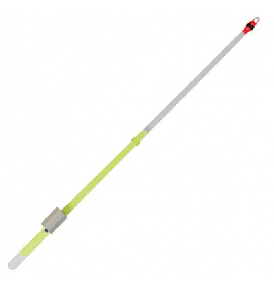 Sargelis lavsaninis Salmo Whitefish