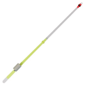 Sargelis lavsaninis Salmo Whitefish