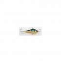 Žieminė blizgutė Salmo Lucky V Baltic 61501