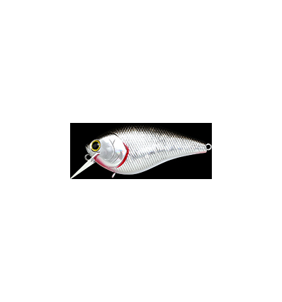 LC 2.5 DRS BP Golden Shiner