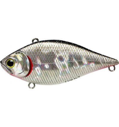 LVR D-7 - BP GOLDEN SHINER