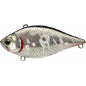 LVR D-7 - BP GOLDEN SHINER