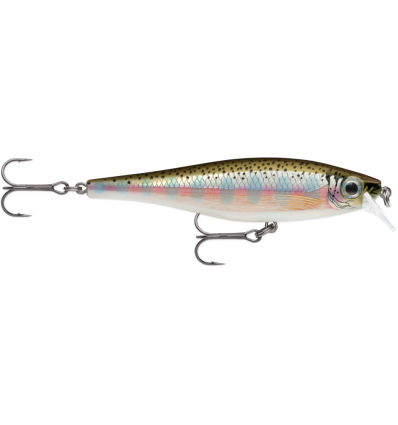 Vobleris Rapala BX Minnow 10cm RT
