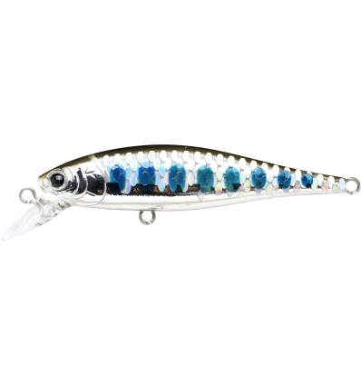 Vobleris Lucky Craft Pointer 65 SP MS MH Flash Yamame
