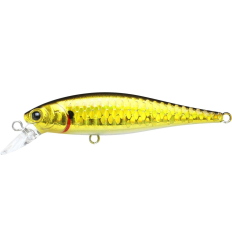 Vobleris Lucky Craft Pointer 65 SP Zebra MS Aurora Gold