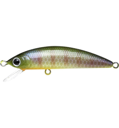 Lucky Craft Humpback Minnow 50 SP BE Gill