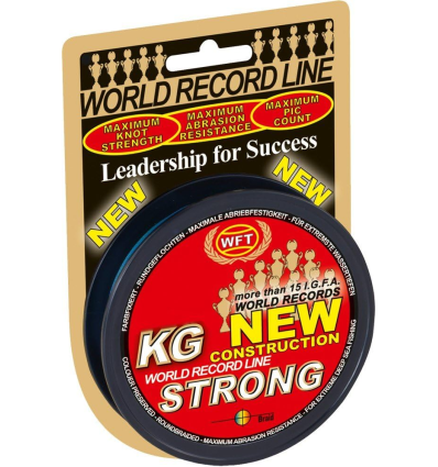 Pintas valas WFT NEW 0.25mm 39KG Strong multicolor 300m