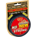 Pintas valas WFT NEW 0.25mm 39KG Strong multicolor 300m