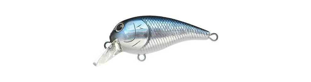 Crank Bait