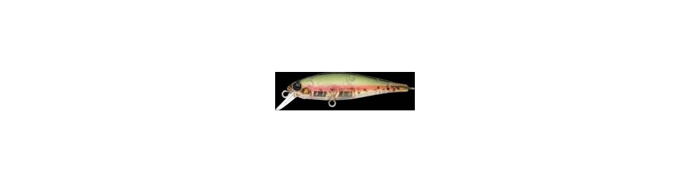 Trout Minnow
