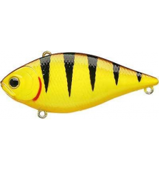 LVR D-7 - Tiger Perch