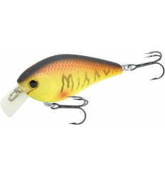 Mazume Bream