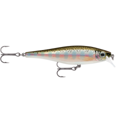 Vobleris Rapala BX Minnow 10cm RT